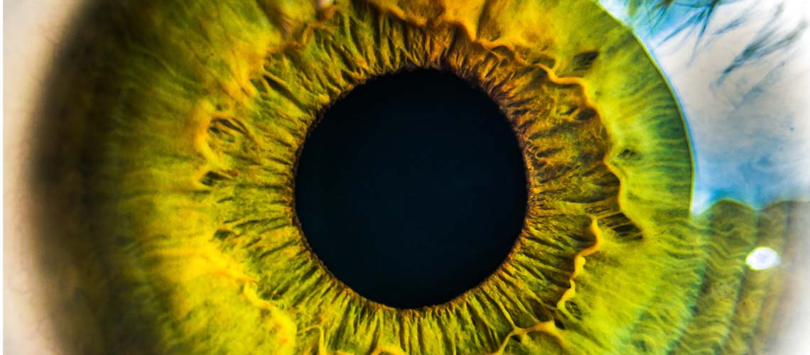 closeup image of a green eye